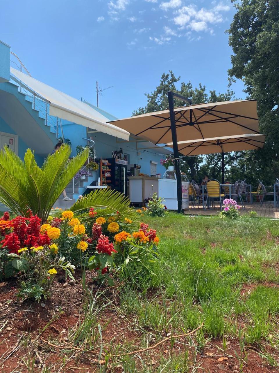 Blu Horizon Hotel Gjipe Dhermi Bagian luar foto